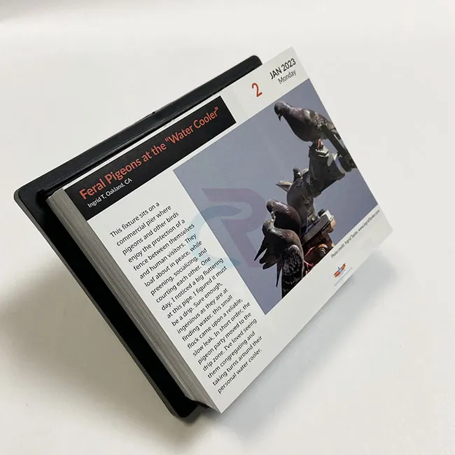 Tear-off Page-a-day Calendar တွင် စိတ်ကြိုက်ဒီဇိုင်းများကို မည်သို့ထည့်သွင်းနိုင်မည်နည်း။